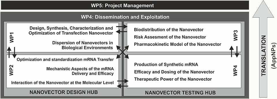 Concord Project Structure